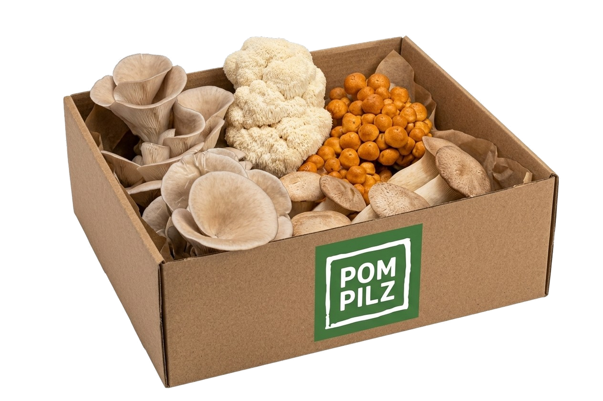 PomPilz Pilzkiste – frische Pilze jeden Freitag