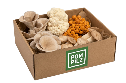 PomPilz Pilzkiste – frische Pilze jeden Freitag