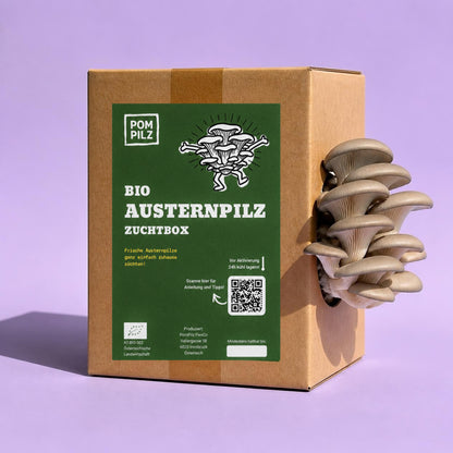 Bio-Austernpilz-Zuchtbox